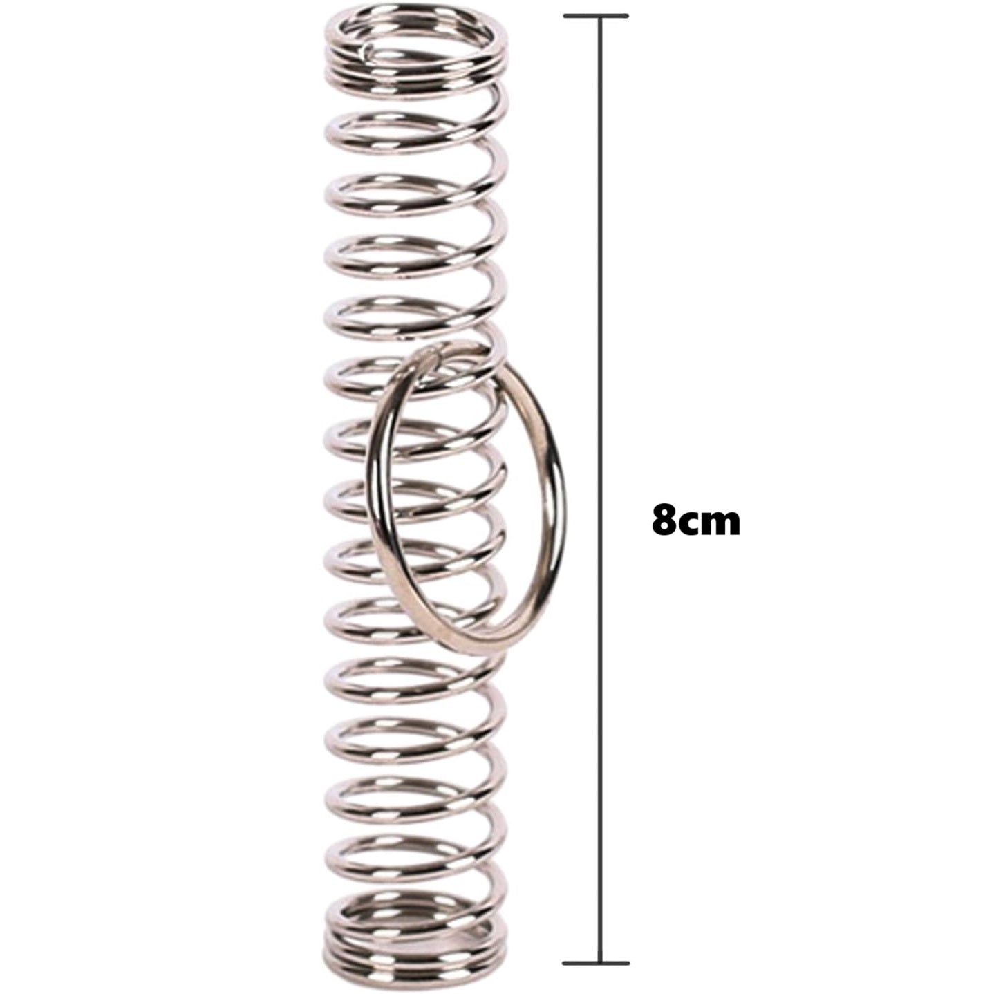 Ring and Spring Puzzle