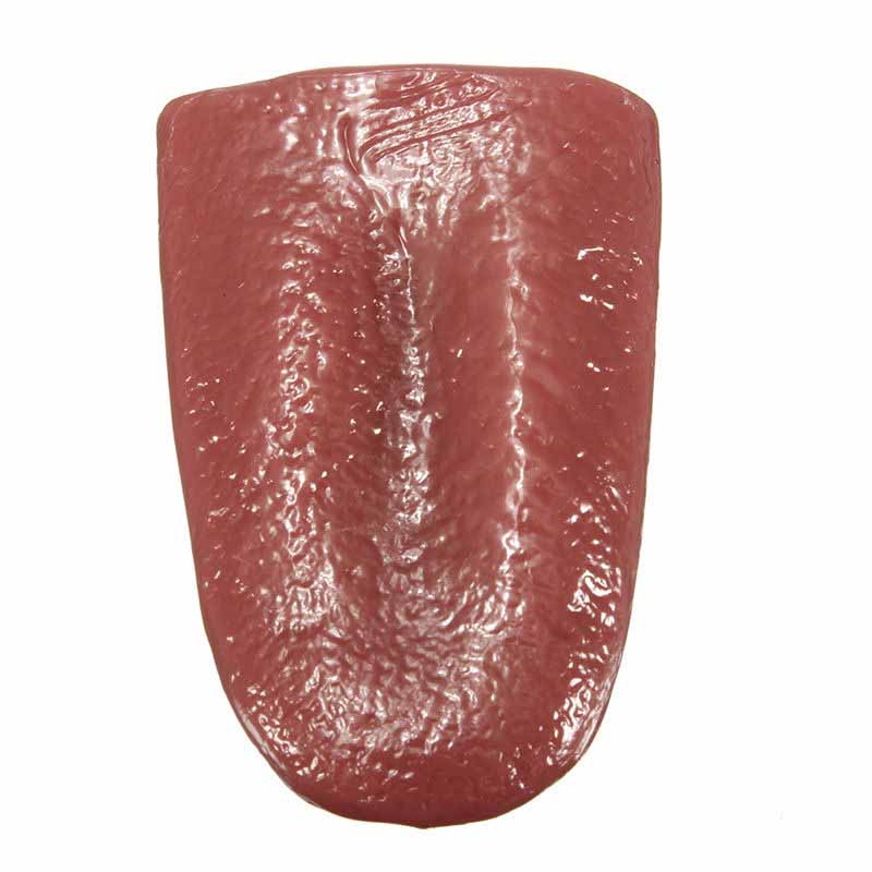 Fake Tongue
