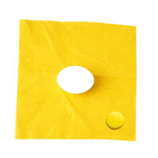 Silk to Egg Magic Trick