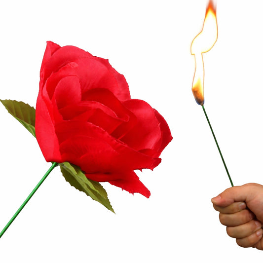 Torch Fire to Rose Flower